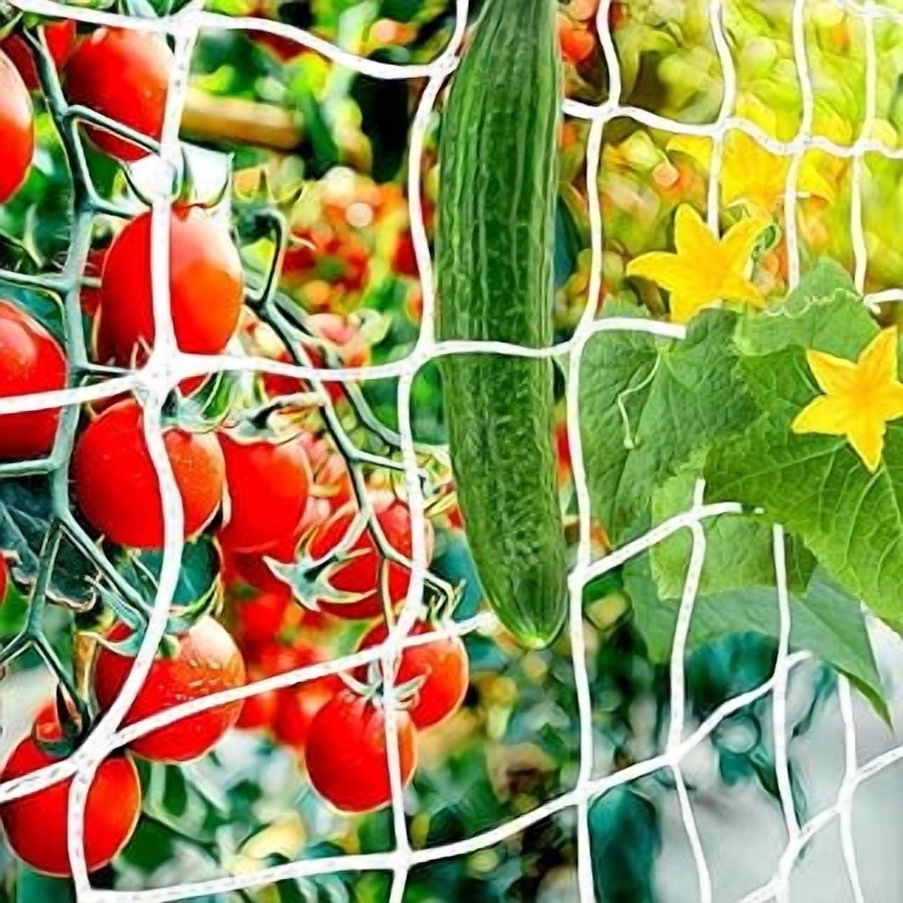 Planting Growing Net 5x30FT Plant Trellis Netting,Heavy-Duty Garden Grow Net Polyester ...