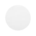 thumbnail image 1 of tooloflife Steamers Mat for for Steaming Buns Dumplings Pastry Self Detaching Non-Stick Porous Silicone White Round 16cm-25cm, 1 of 8