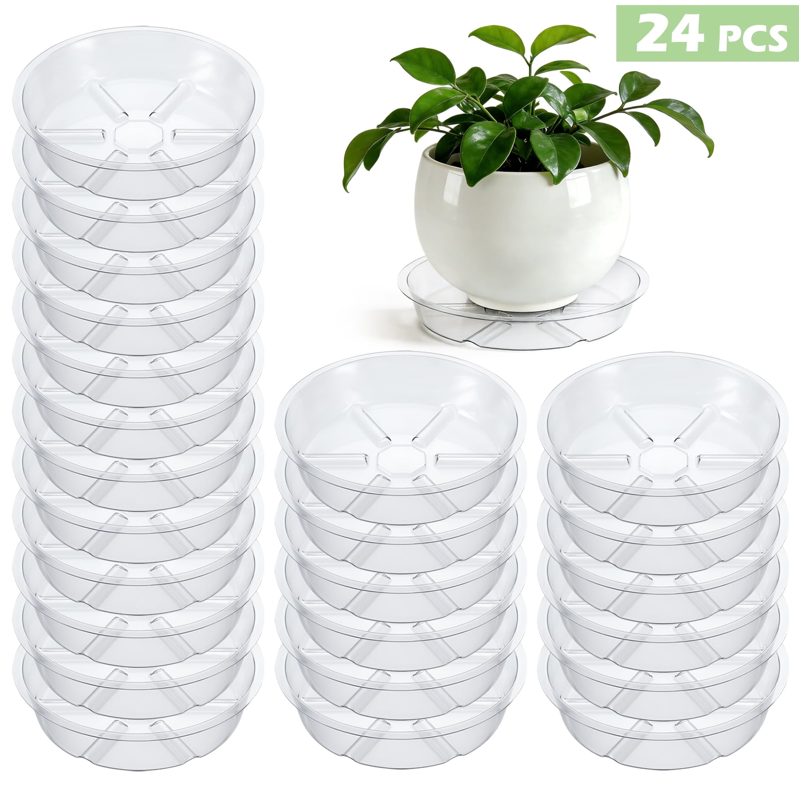 topjuju 24 Pack Clear Plant Saucer, 6 inch Plant Pot Saucers, Plastic Plant  Drip Trays, Flower Pot Saucers for Indoor Outdoor Garden Plants