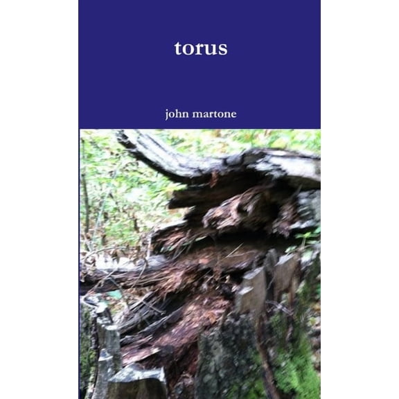 torus, (Paperback)