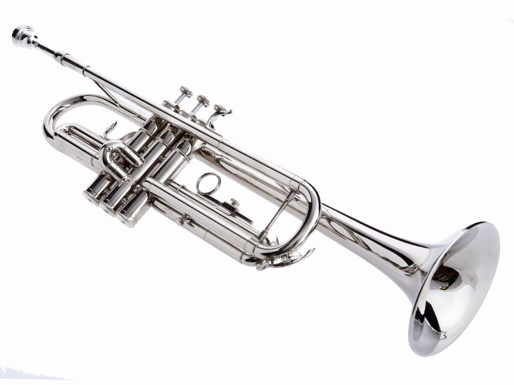 trumpet ni with hard case and mouthpiece sale percent on