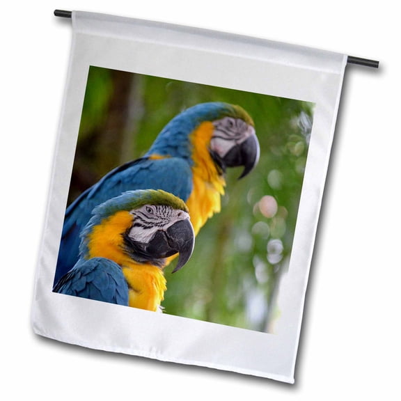 3dRose, two macaw front focused c bird, 18 x 27 inch Garden Flag