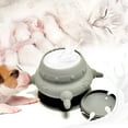 thumbnail image 1 of tzyudk Puppy Feeder Bottle Puppy Milk Replacement Silicon Puppy Bottles For Nursing With 4 Nipples Puppy Feeders For Multiple Puppies Affordable Useful Gray Silica Gel, 1 of 2