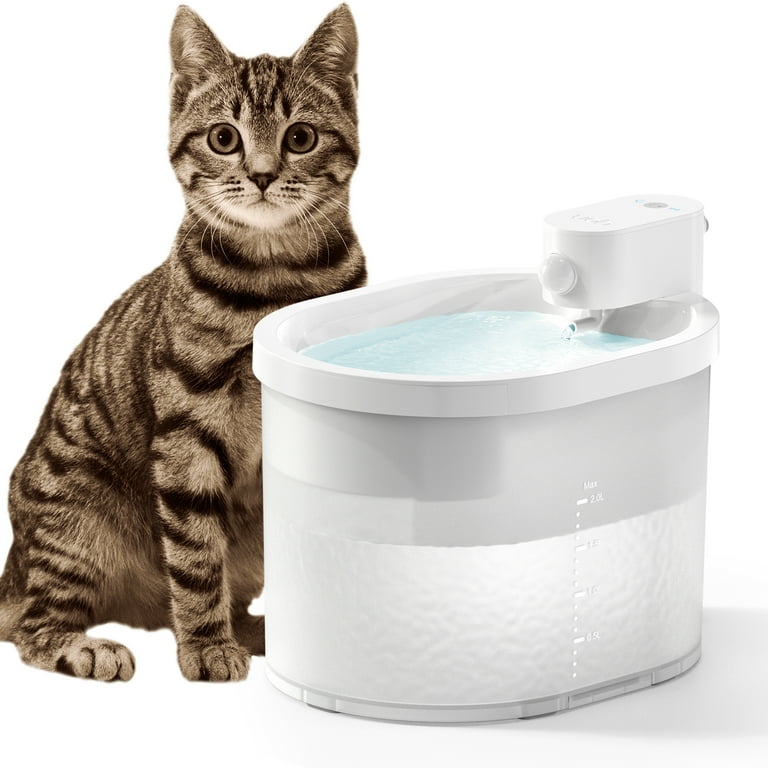 Cat water filter clearance