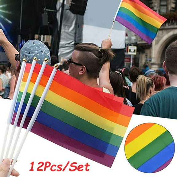 ufehgfjh 12pcs Hand Waving Rainbow Flags LGBT Pride Mini Bunting 14 x 21 cm Polyester Handheld Festival Flag Parade Party Celebration Pride Flag Set
