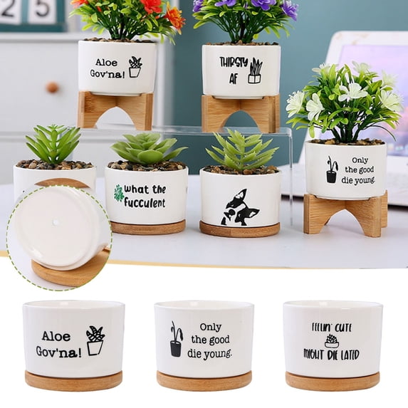 ufehgfjh Fun Novelty Planter Trio Ceramic Fleshy Flowerpot With Matching Drainage Trays Cute Desktop Bonsai Decorative Plant Pots For Succulents Home Table Shelf Display planter
