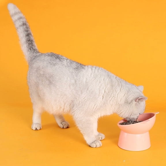 ufehgfjh Gifts Tilted Pet Feeding Bowl 15° Anti-Spill Non-Slip Ergonomic Design Prevents Overturning Dish For Cats Dogs Slow Eating Promotes Better Posture And Reduced Spillage