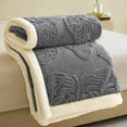 thumbnail image 1 of ufehgfjh Winter Blanket Soft Warm Solid Color Double Layer Sheep Blanket Nap Blanket 39.37x59.05in, 1 of 5