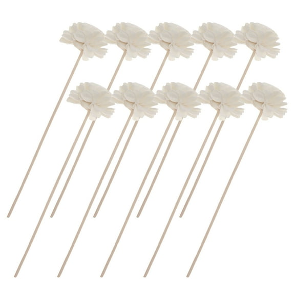 unbranded 10 Pcs Reeds Diffusers Aromatherapy Flowers Fragrance Sticks 20X4.5CM