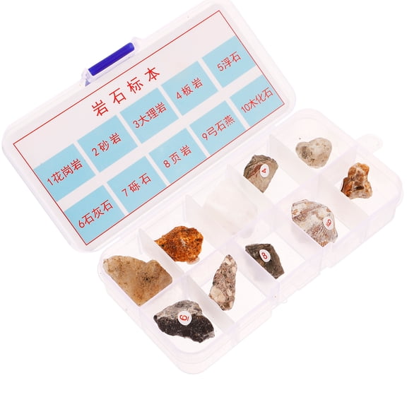 unbranded 10 Pcs Specimen Teaching Aids Primary School 2.00X1.50X1.00CM