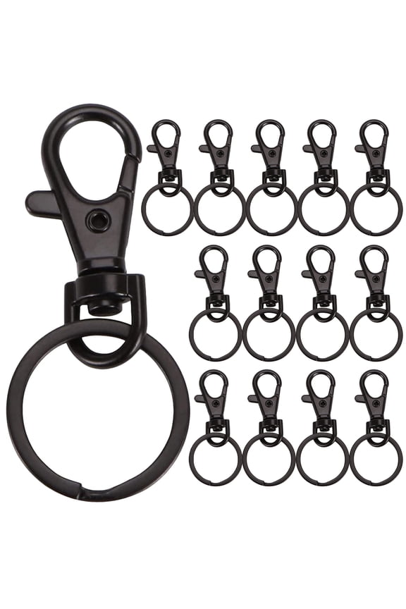 15 Pcs Key Chains Rings Keychain Clips and Carabiner Lanyard Hook Black