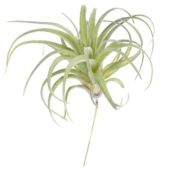 TEHAUX Artificial Green Bromeliad Plant for Desk Home Office Wedding Party Decoration