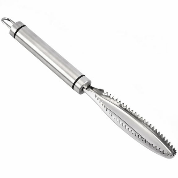 IFANLANDOR Scale Remover Stainless Steel 2Pcs 9.43X1.18X1.18in