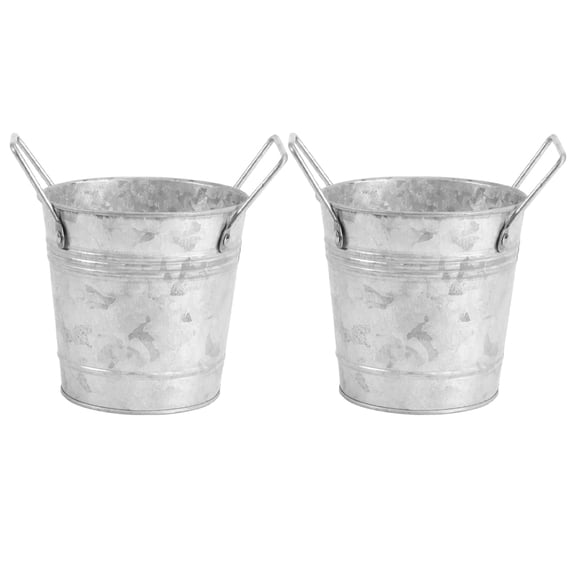 Greenadscape Vintage Galvanized Flower Bucket Silver 2Pcs 4.1x4.1x3.1in