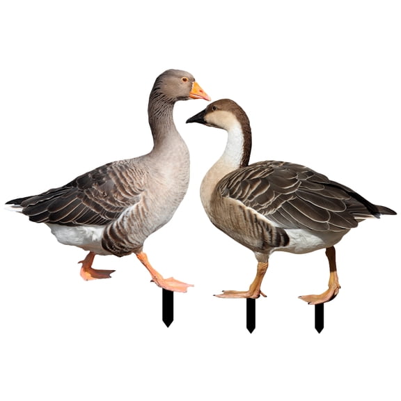 unbranded  2 Pcs Garden Stake Yard Ornament Solar Lights Outdoor Decor Frog Edge