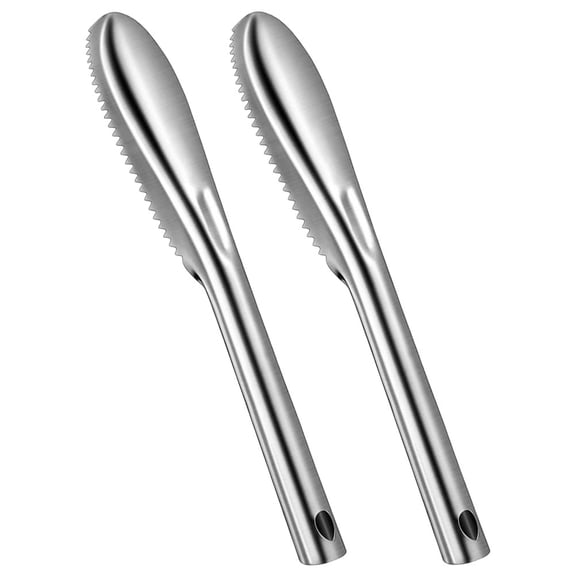 unbranded  2 Pcs Stainless Scale Removers Reusable Fish Tools Gadget Dryer Vent Cleaning Kit Pour Silver