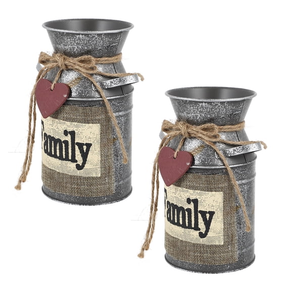 unbranded 2 Pcs Vase Buckets Plant Galvanized Flower Floral Containers