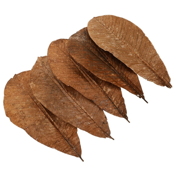 unbranded 20 Pcs Sushi Boat Serving Tray Escargot Dish Sashimi