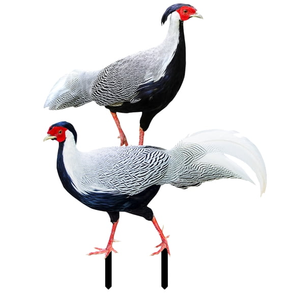 LITINKIMI Ground Inserted Decor Pheasant Shape Acrylic 2Pcs