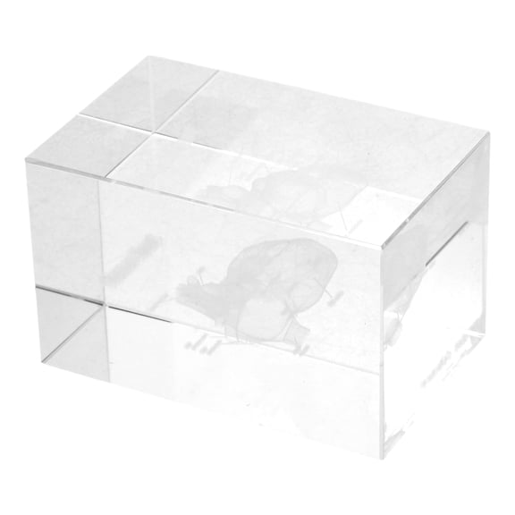 COSMOBETTY Crystal Glass Cube Home Decoration 1Pcs
