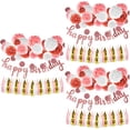 thumbnail image 1 of unbranded 3 Sets  Birthday Party Decorations Paper Pompoms Circle Dots Paper Tassel Garland, 1 of 8