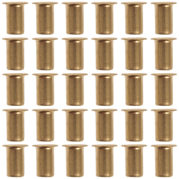 Golden Copper Shelf Pins for Home Use Fit 6mm Supports 30pcs M6x10 Furniture Hardware