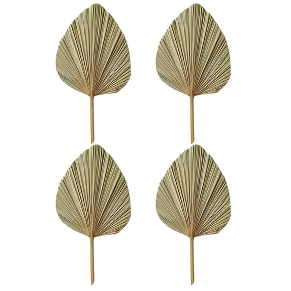 unbranded  4 Pcs Home Decoration Palm Leaf Heart Shape Leaves