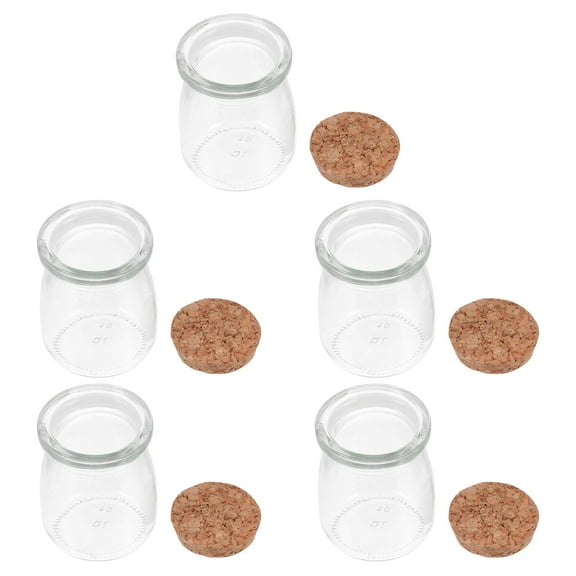 FUEENIRVA Glass Vial With Cork Wishing Bottles Transparent 5Pcs