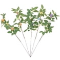 thumbnail image 1 of unbranded  5 Pcs Easter Branch Decor Eggs Toy Stuffers Artificial Vines, 1 of 8