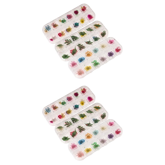 unbranded 6 Boxes  Natural Dried Flower for Epoxy Resin Casting Molds Nails Art Soap Candle