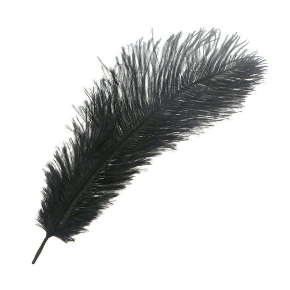 unbranded 6pcs Creative Ostrich Chic Decorative DIY Accessory for Home Wedding Decoration (Black)