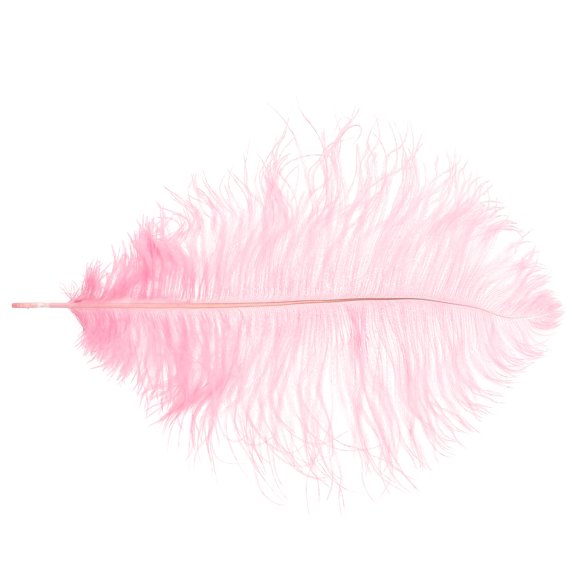 unbranded Decoration Red Ostrich Home Accessories Costumes Vases Pink