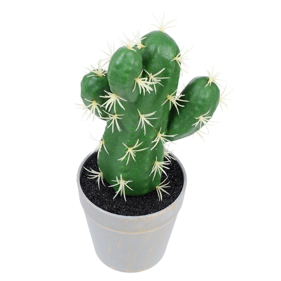 unbranded  Artificial Plant Potted Cactus Large Office Decoration