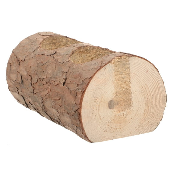 unbranded  Bonsai Tree Kit Solid Wood Succulent Potted Plants Office