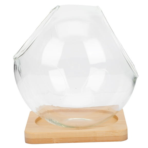 unbranded  Decorative Glass Vase Micro Terrarium Mini Vases for Flowers