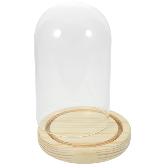 unbranded Display Dome with Base Transparent Glass Cover Frame Flowers