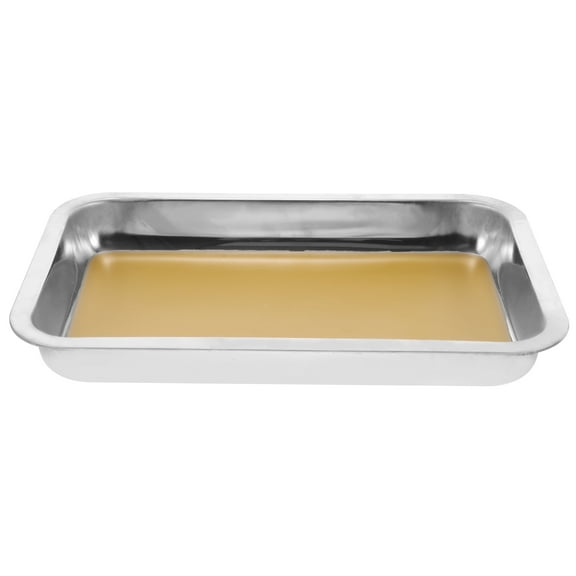 Wax Dissection Tray Stainless Steel Premium Anatomy Dissecting Pan with Wax Lab Metal Dissection Plate A4 Tool