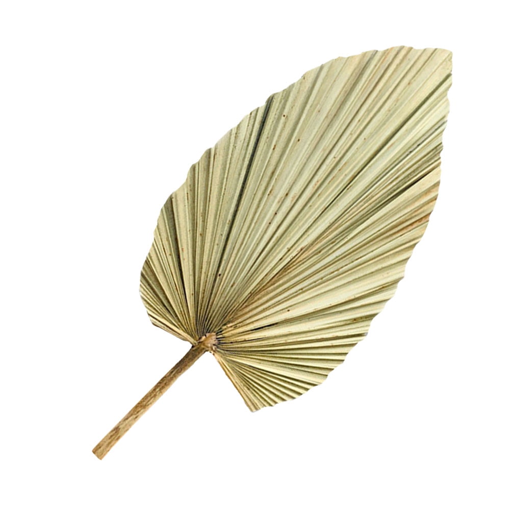 unbranded  Green Dried Palm Leaves Pu Fan Artificial Plant Natural Effect Leaf Decoration