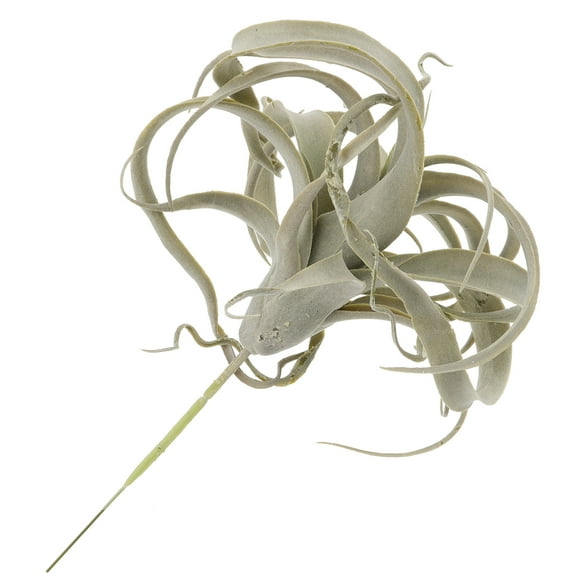 Artificial Pineapple Plant for Home Decoration Plastic Green Color One Piece