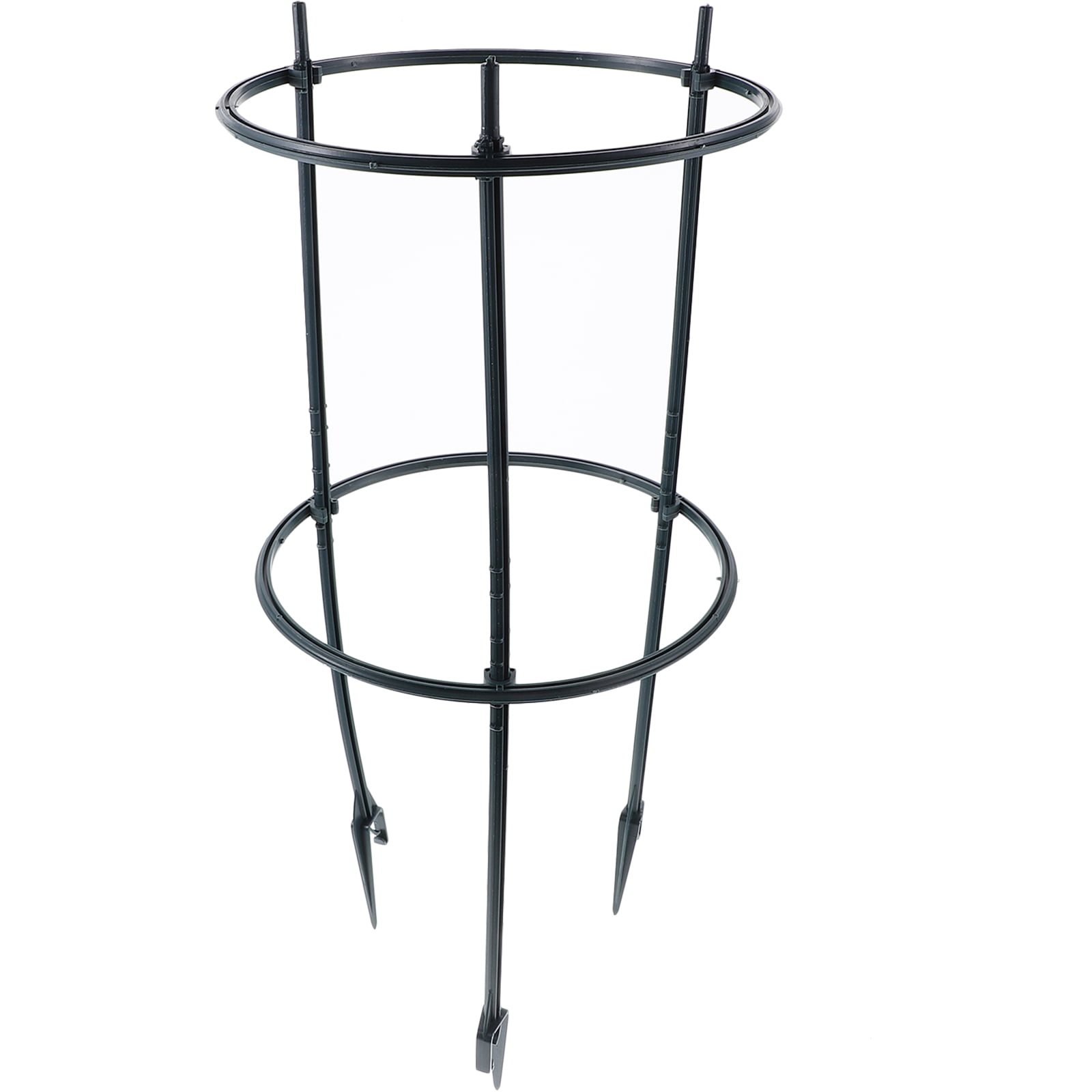 unbranded House Plant Circular Frame Plants Plant Display Support 21 ...