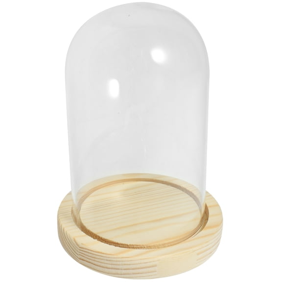 Dried Flower Display Base With Glass Dome Preserved Flower Display Holder Transparent Showcase Stand