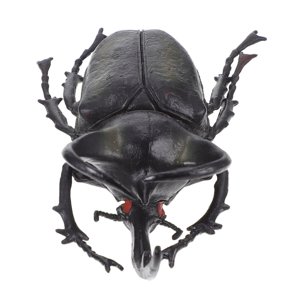 Phenofice Insect Specimen Beetle Insect Model Black 1Pack
