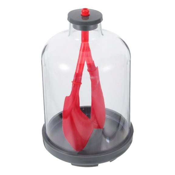 unbranded Lung Function Learning Model for Kids Human Anatomy Breathing Model Educational Toy for Biology Classes for Teaching Respiratory Function