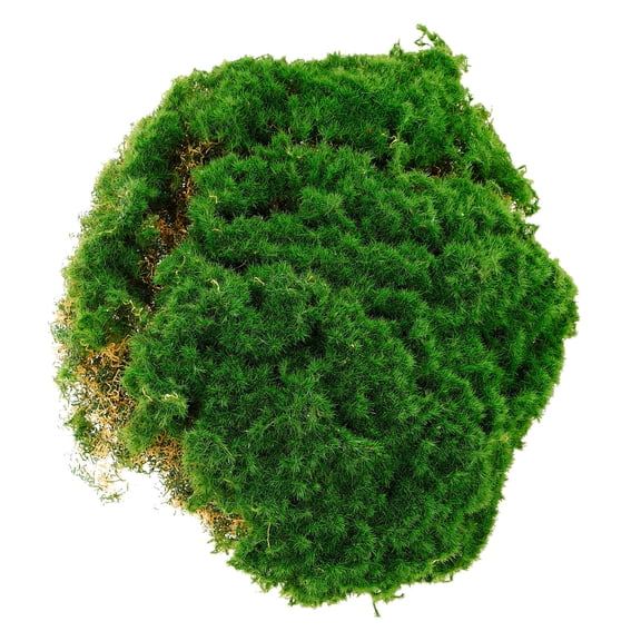 OULII Simulated Moss Pad Lightweight Artificial Green Moss for Terrariums and Plant Walls
