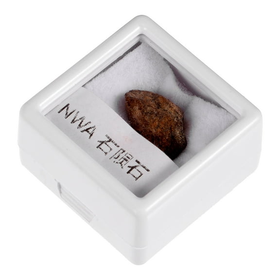 Olive Meteorite Specimen Unique Stone Gift for Collection Decorations 1 Piece