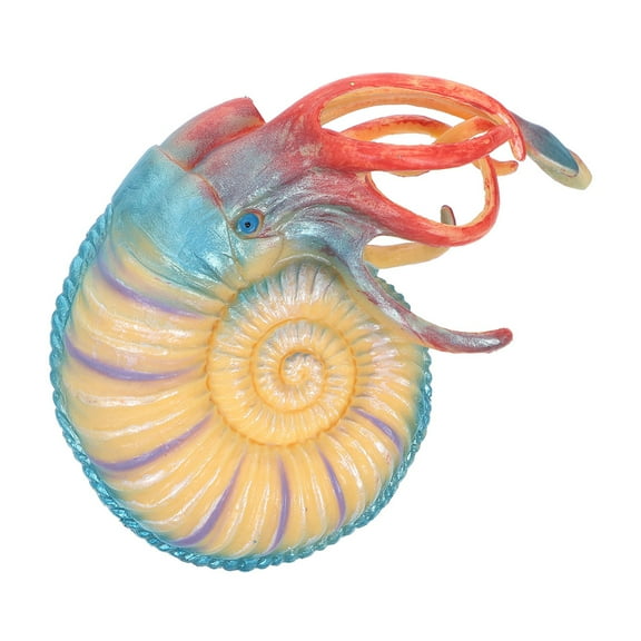 unbranded Simulated Nautilus Marine Model Gooseneck Ornament Decoration Child Colorful