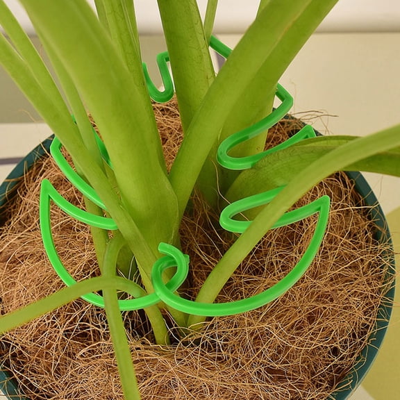 Hytrove 3Sets Versatile Monstera Plant Trellis Rings Durable Indoor Plant Stands
