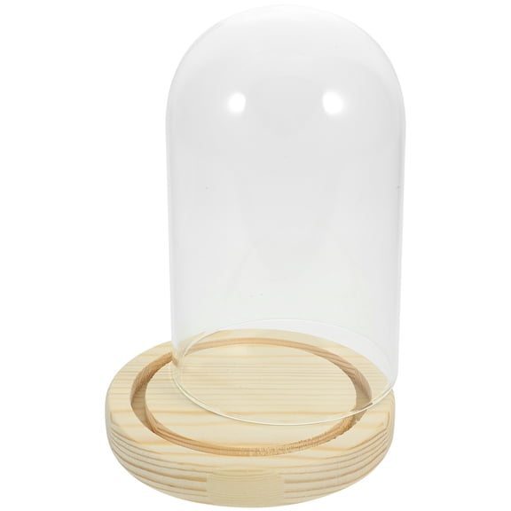unbranded  Dome Wooden Base Glass Cover Dried Flower Display Decorative Flair