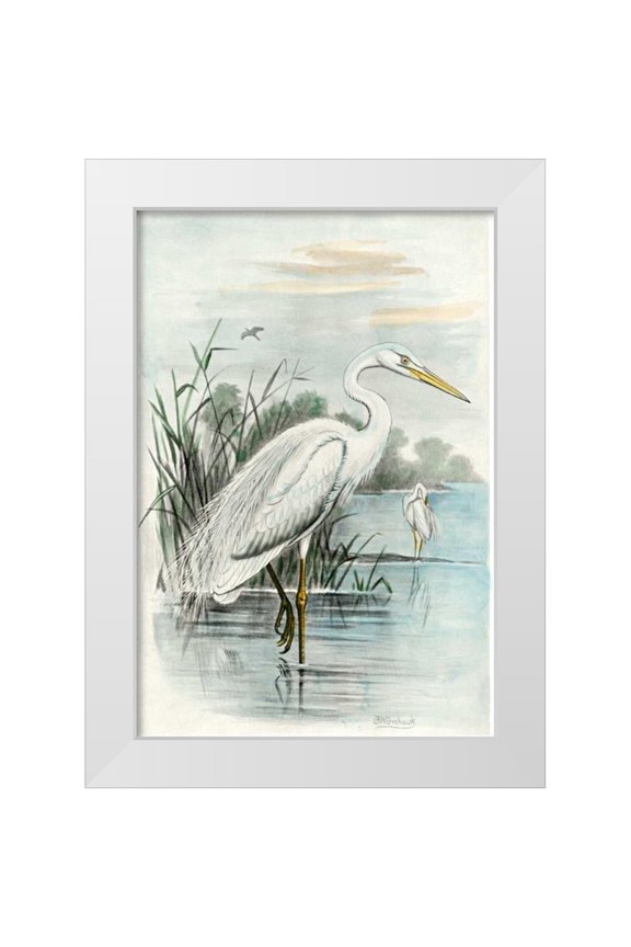 unknown 11x14 White Modern Wood Framed Museum Art Print Titled - Oversize White Heron