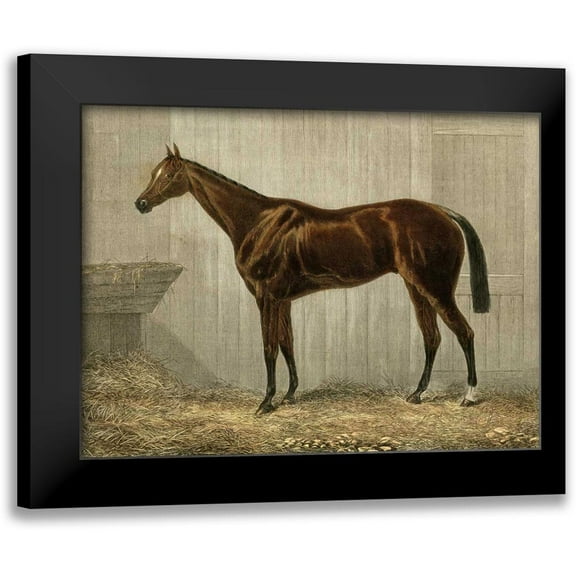 unknown 14x12 Black Modern Framed Museum Art Print Titled - Blue Crown